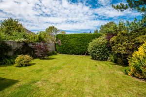 pet friendly family accommodation in bath